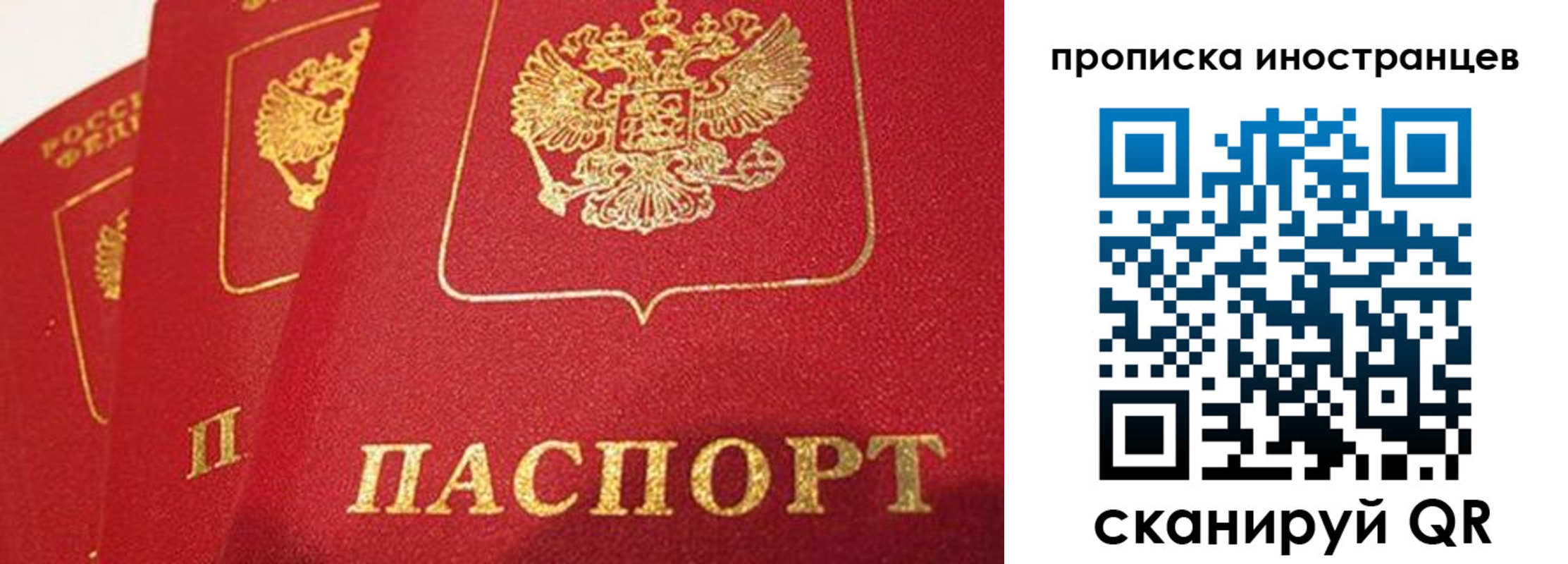 прописка поиск в Ревде